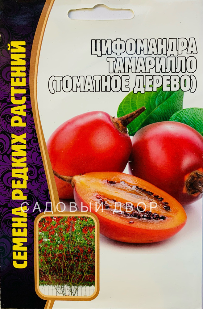 Цифомандра Тамарилло (Томатное Дерево), семена 5 шт, 1 пакет, ЧК  #1