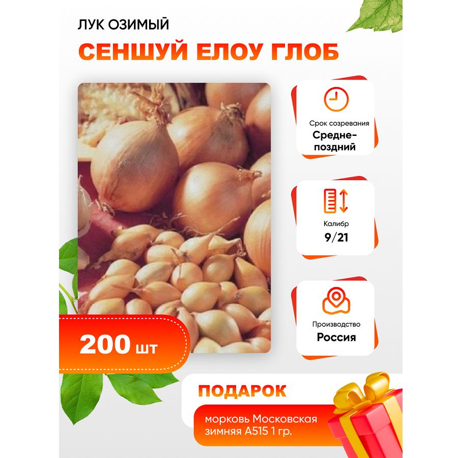 Лук сеншуй еллоу глоб отзывы. Лук стригуновский. Лук севок сеншуй 1кг (чувашия). Лук сеншуй еллоу глоб отзывы. Лук сеншуй еллоу глоб отзывы.
