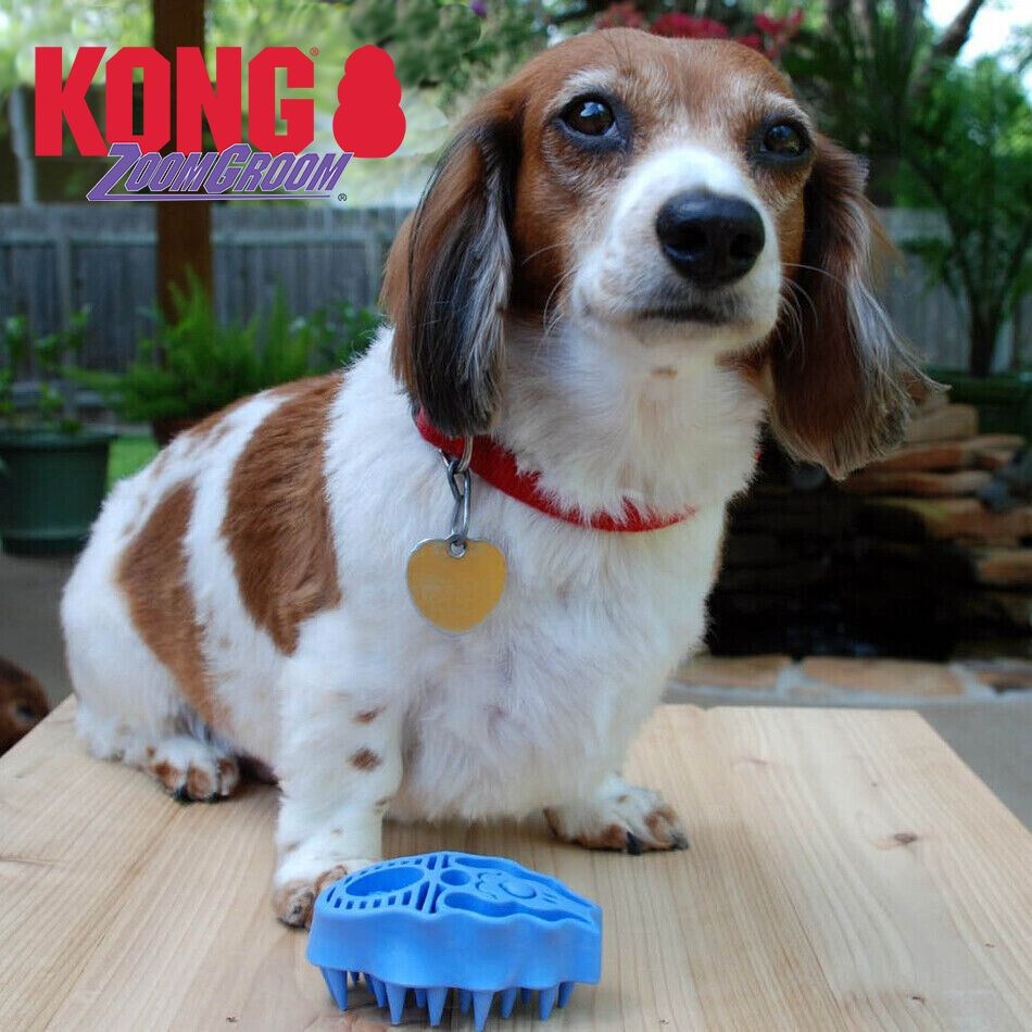 Kong ZoomGroom