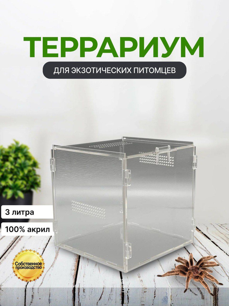 Террариум 15*15*15 #1