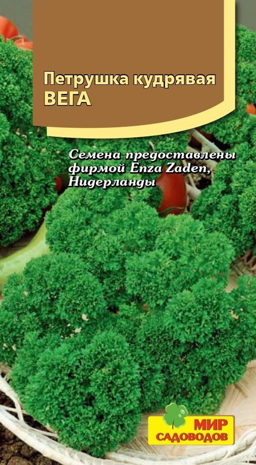 Семена Петрушка кудрявая "Вега" 1г семян в 1 упаковке #1