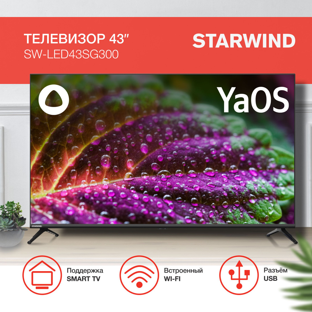 STARWIND Телевизор SW-LED43SG300 Яндекс.ТВ Frameless 43" Full HD, черный #1