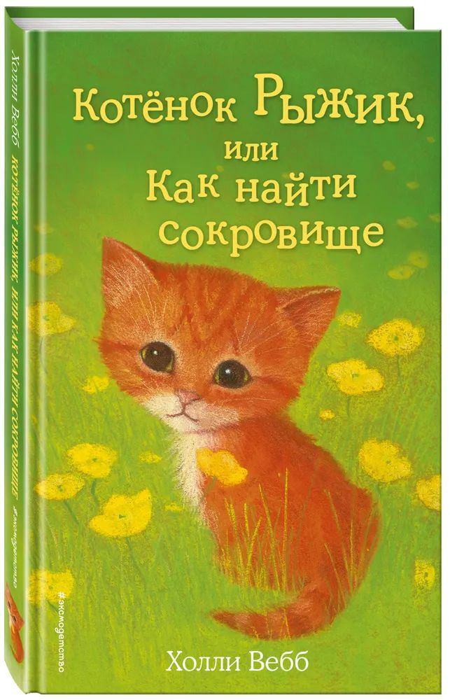 Котёнок Рыжик, или Как найти сокровище #1