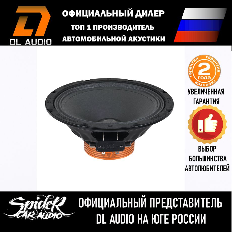 Колонки для автомобиля DL Audio Phoenix SQL 200 Neo / эстрадная акустика 20 см. (8 дюймов) / комплект #1