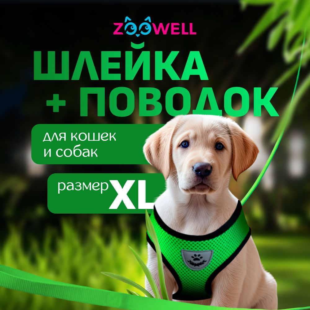 Шлейка и поводок для кошек, собак маленьких и средних пород и хорьков ZOOWELL, набор для прогулок котят #1