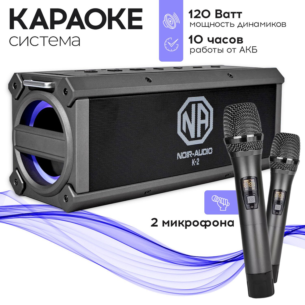 Караоке система NOIR-audio K-2 с двумя беспроводными микрофонами  #1