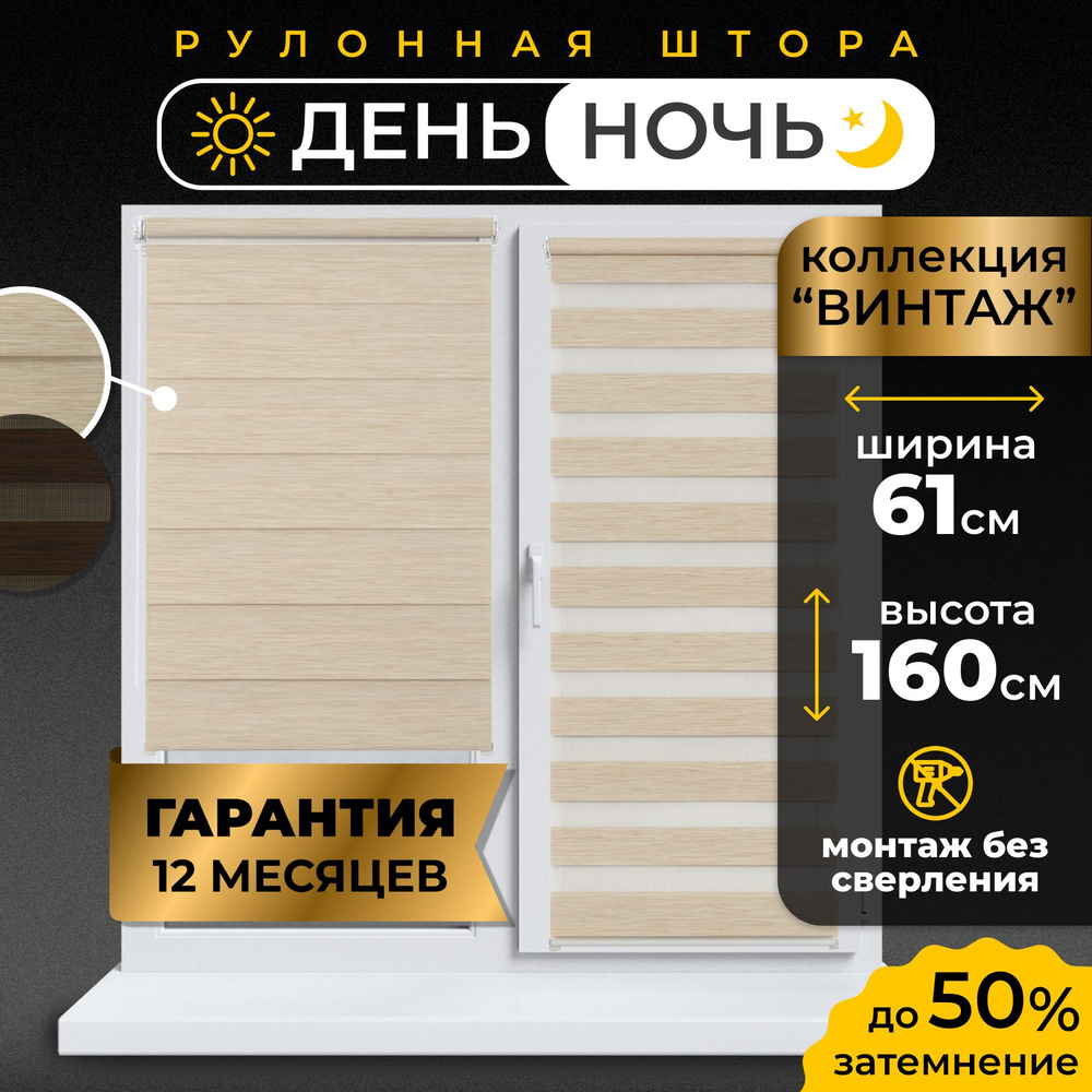 Рулонные шторы День-Ночь LmDecor 61х160 см жалюзи на окна 61 ширина, рольшторы  #1