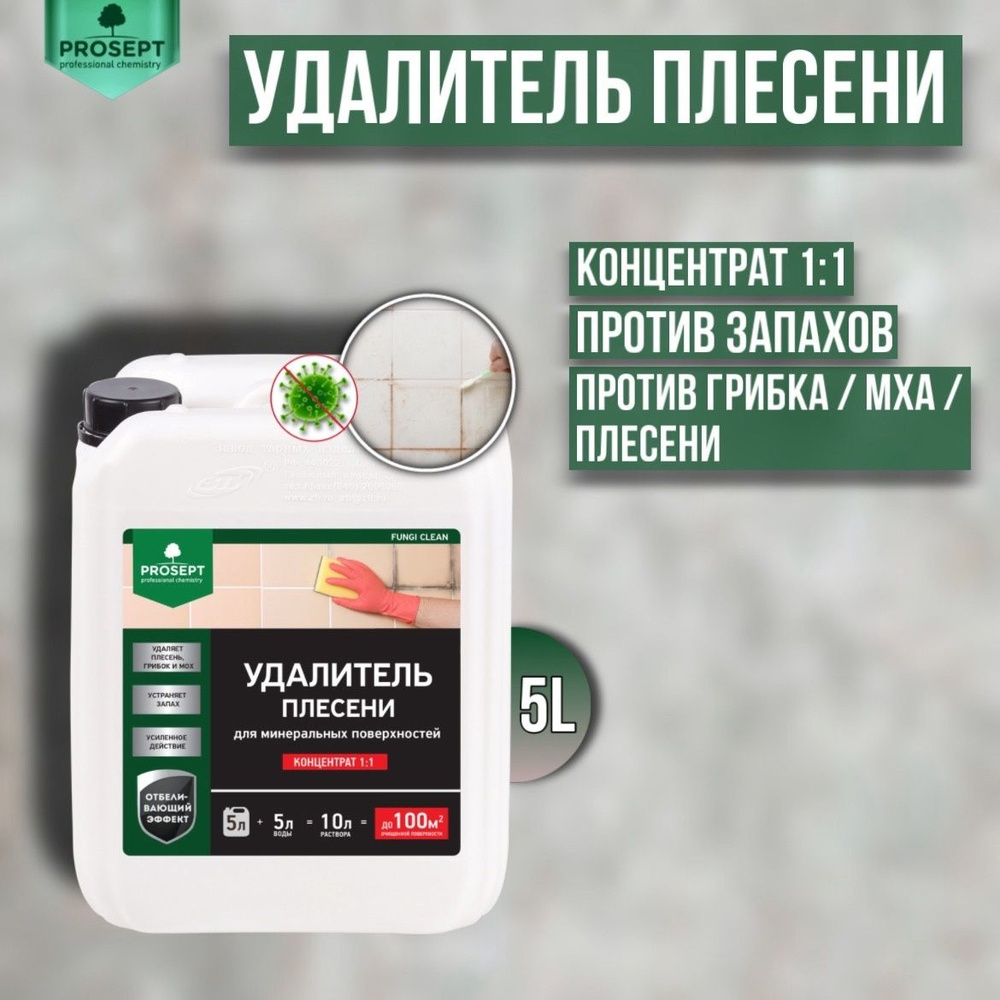 Удалитель плесени PROSEPT FUNGI CLEAN концентрат 1:1 5 литров #1