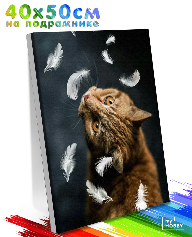 Картина по Номерам на Холсте 40х50 см Colibri Кот и Перья Животные С Подрамником для Детей и Взрослых #1