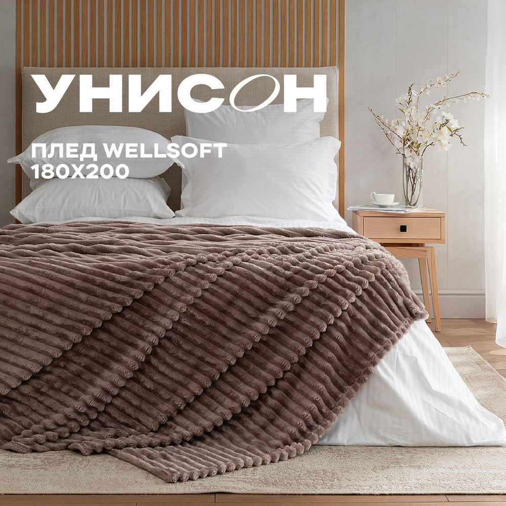 Плед 180х200 см велсофт "Унисон" Powder #1