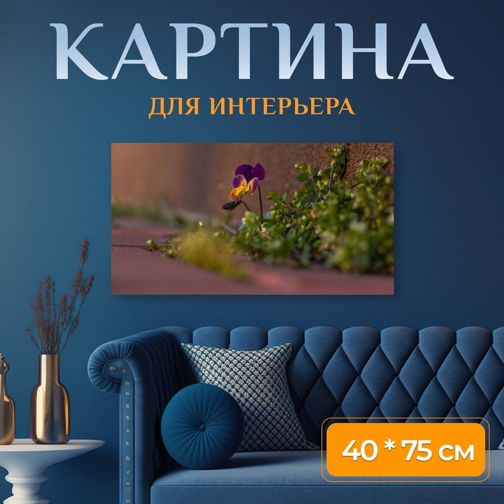 LotsPrints Картина "Анютины глазки, цветы, растения 23", 75 х 40 см  #1