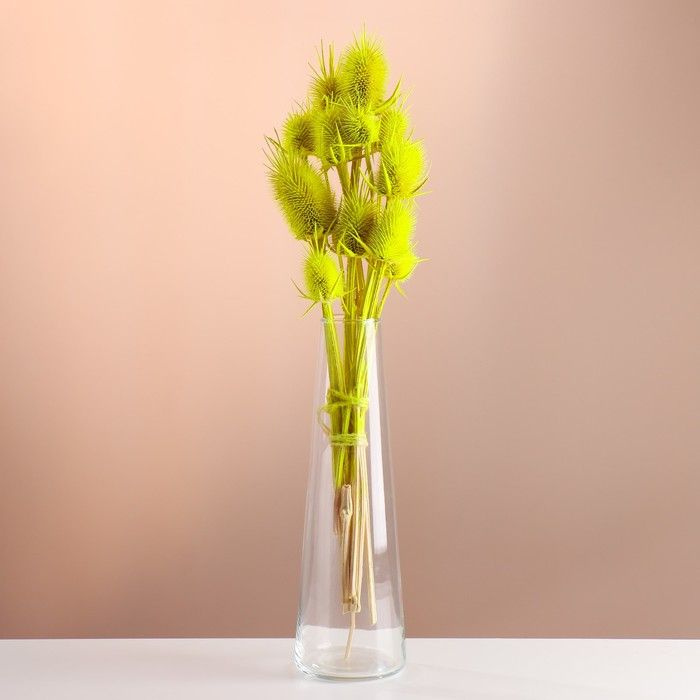 Сухоцветы для декора "Ворсянка" банч 7-8 шт, длина 50 (+/- 6 см) ярко-жёлтый  #1