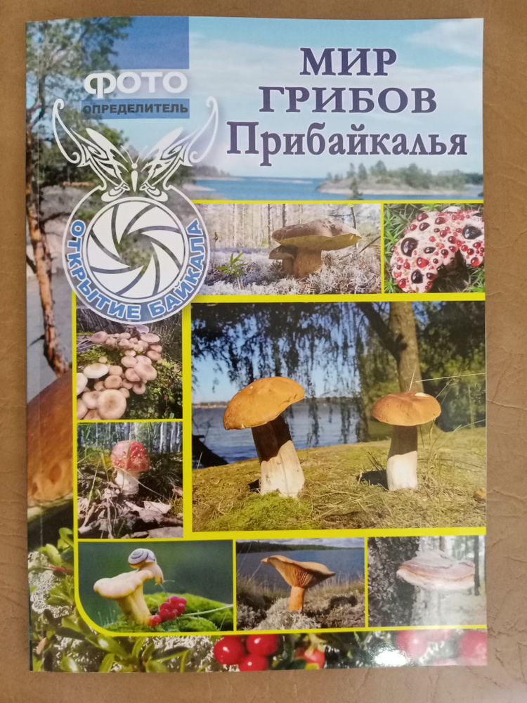 Мир грибов Прибайкалья: Фотоопределитель #1