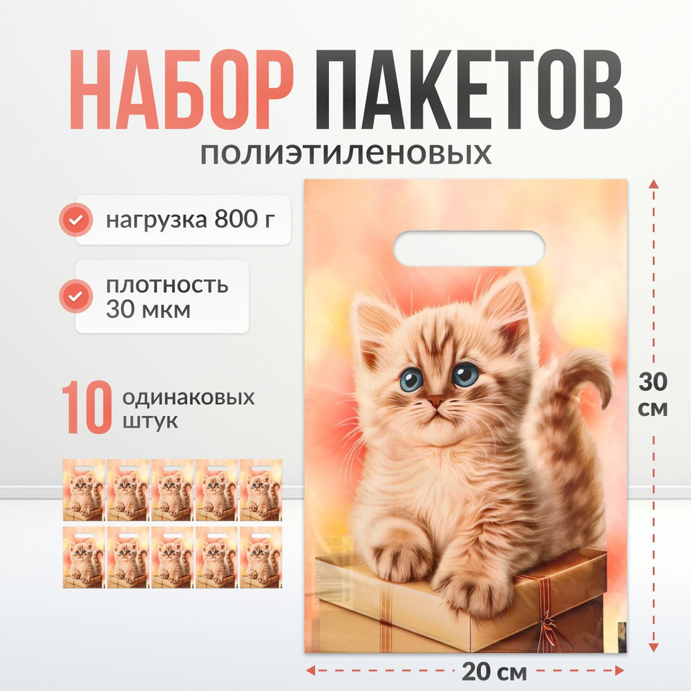 Пакет подарочный, подарочный пакет маленький, 20*30 см, 10 штук  #1