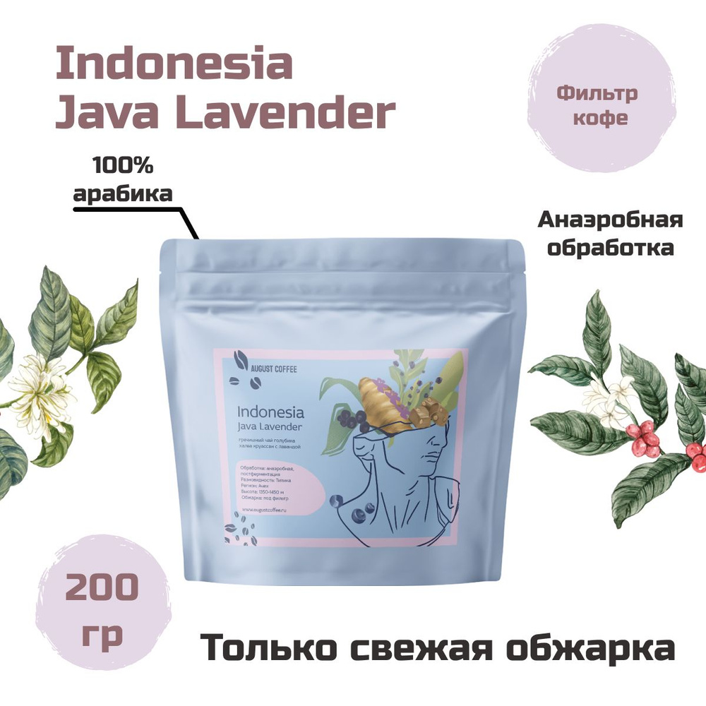 Фильтр-кофе Indonesia Java Lavende от AUGUST COFFEE, подойдет для заваривания в гейзерной кофеварке, #1