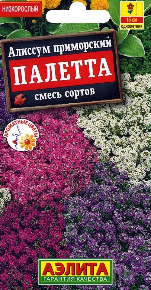 Семена Алиссум Палетта, смесь сортов (0,03 г) - Агрофирма Аэлита  #1