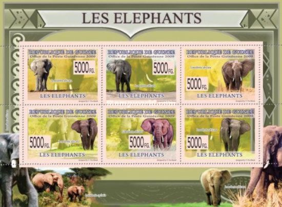 Почтовые марки Гвинея 2009г. "Фауна - Слоны" MNH #1