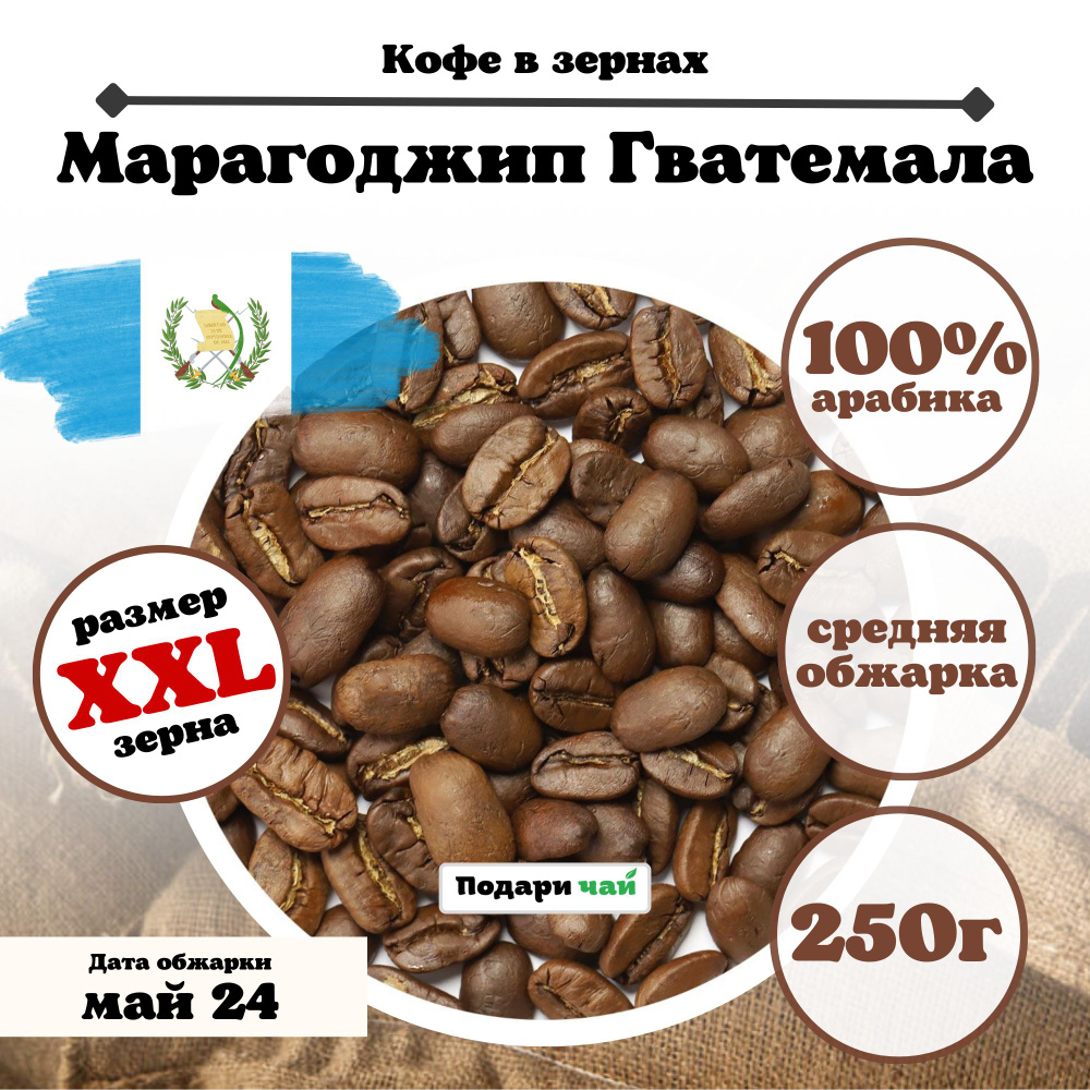 Зерновой Кофе " Марагоджип Гватемала", 250 г #1