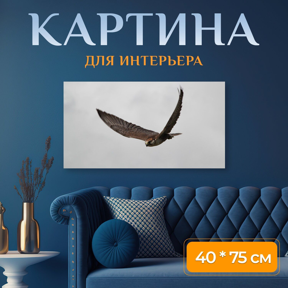 Картина на холсте "Сокол, птица, добыча" на подрамнике 75х40 см. для интерьера  #1