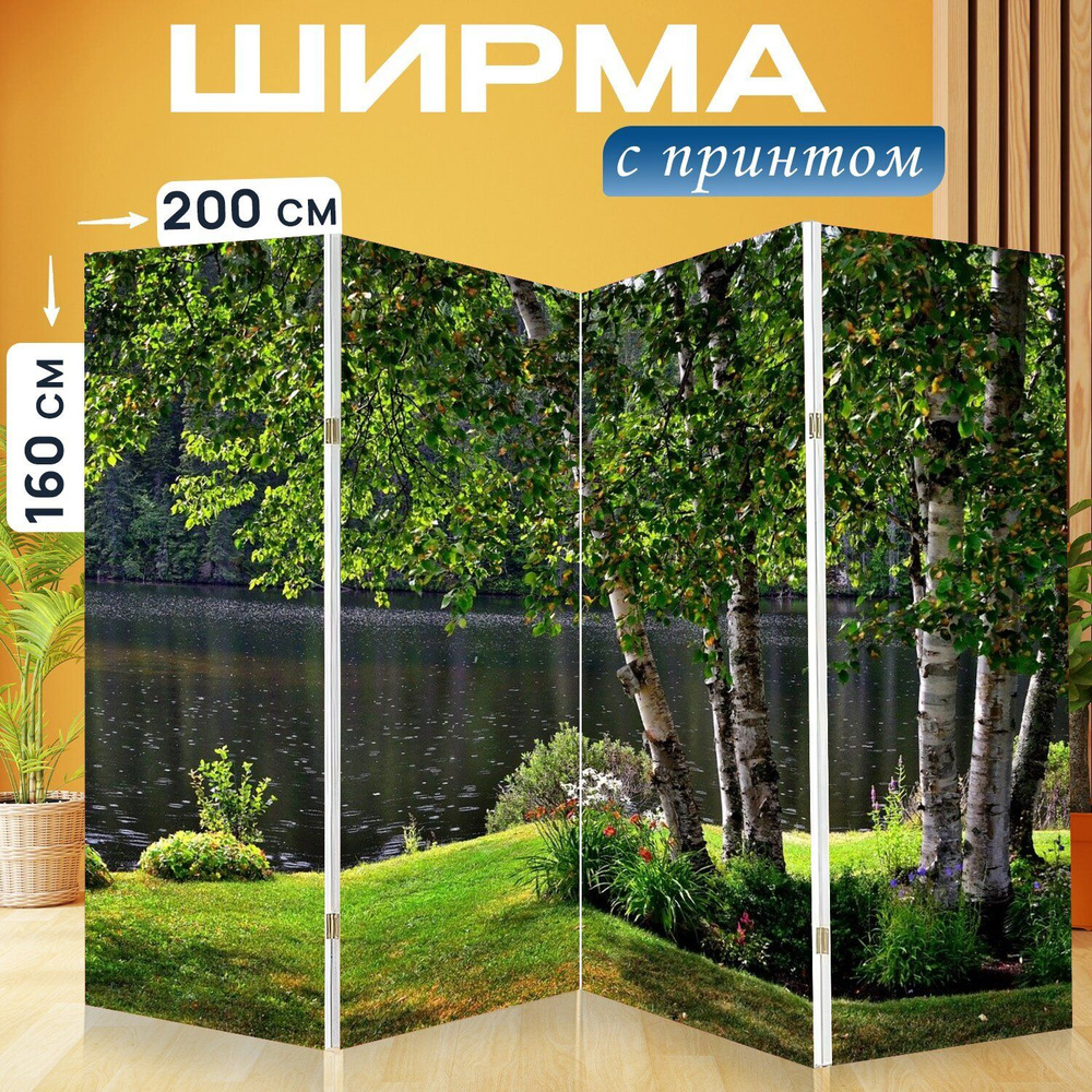 Ширма "Пейзаж, березы, деревья" перегородка для зонирования комнаты с принтом 200x160 см. на холсте  #1