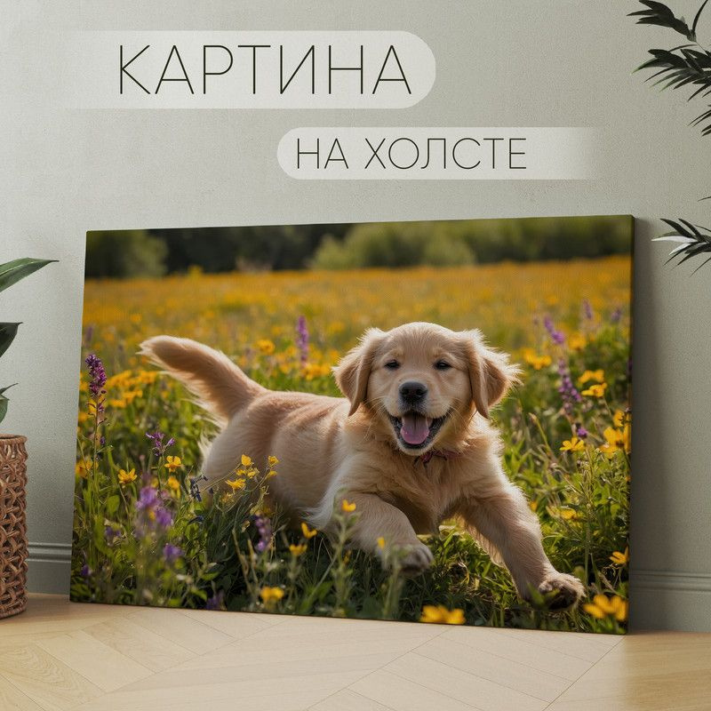 Арт Пространство Картина "милая собака Лабрадор ретривер (24)", 60 х 40 см  #1