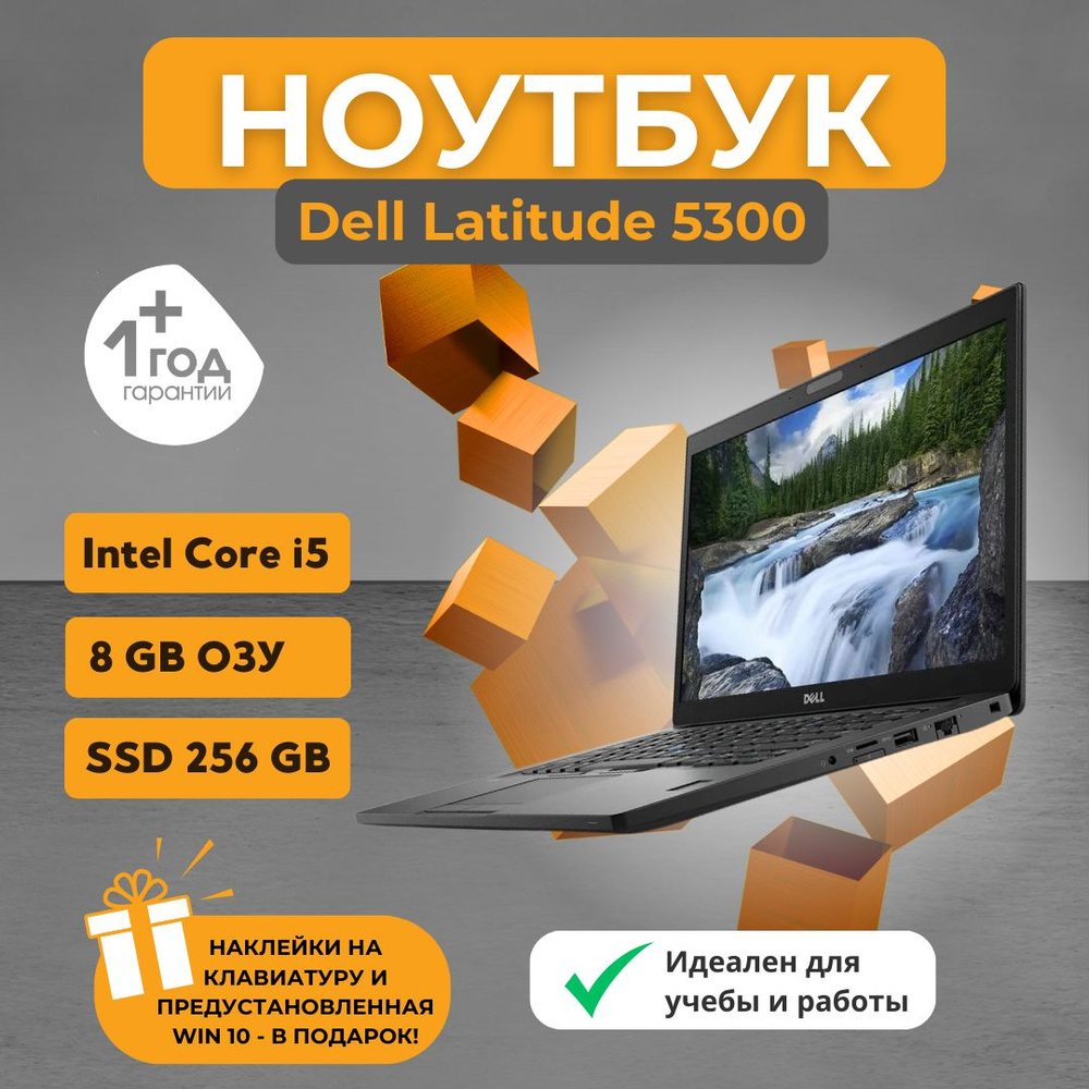 Dell Latitude 5300 02 Ноутбук 13", Intel Core i5-8365U, RAM 8 ГБ 256 ГБ, Intel UHD Graphics 620, Windows #1