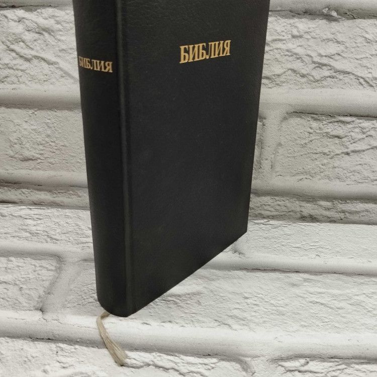 Библия. Всесоюзный Совет Евангельских Христиан-Баптистов, 1987г., 3-413  #1