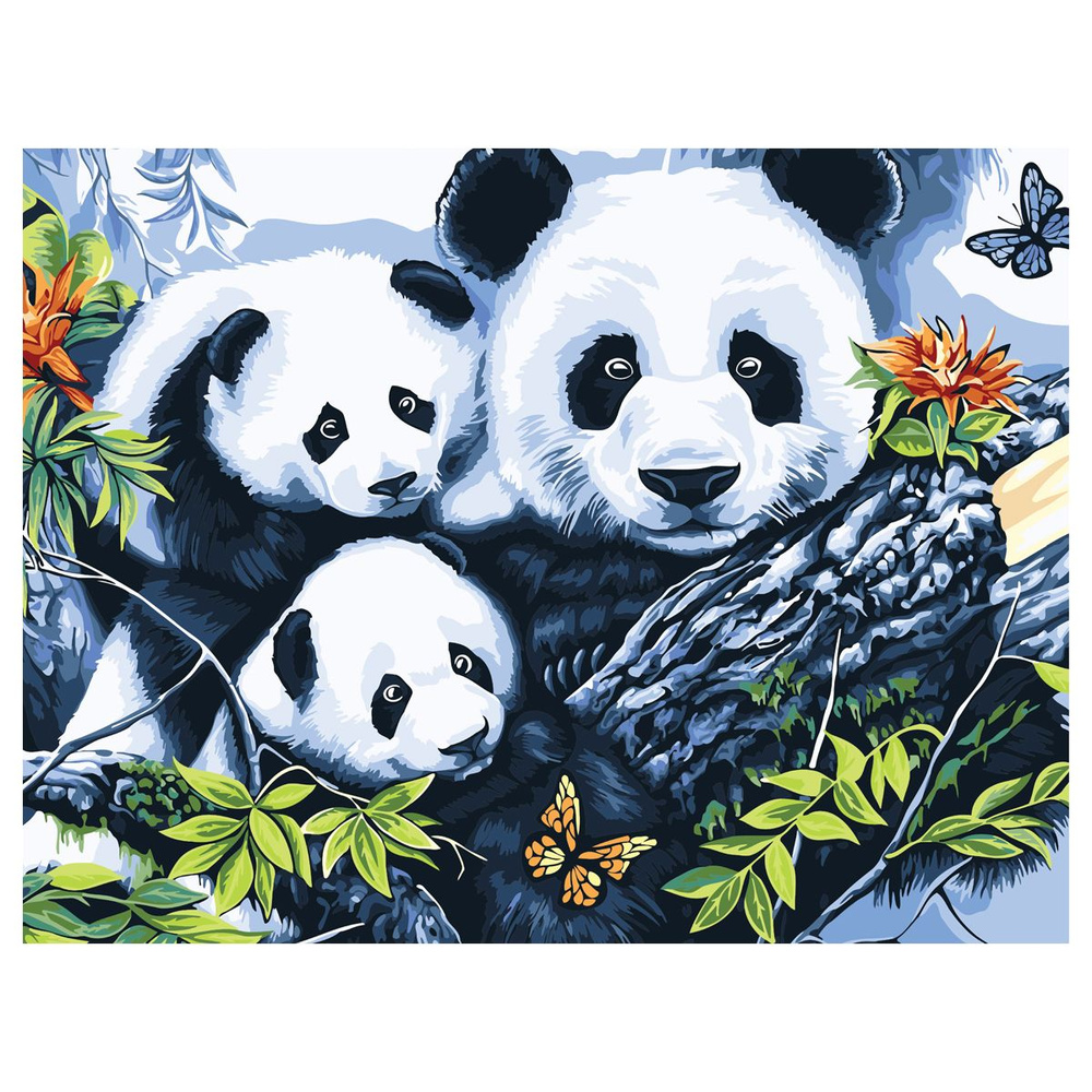 Картина по номерам Три совы "Панды", 40х50 см, с акриловыми красками и кистями, холст  #1