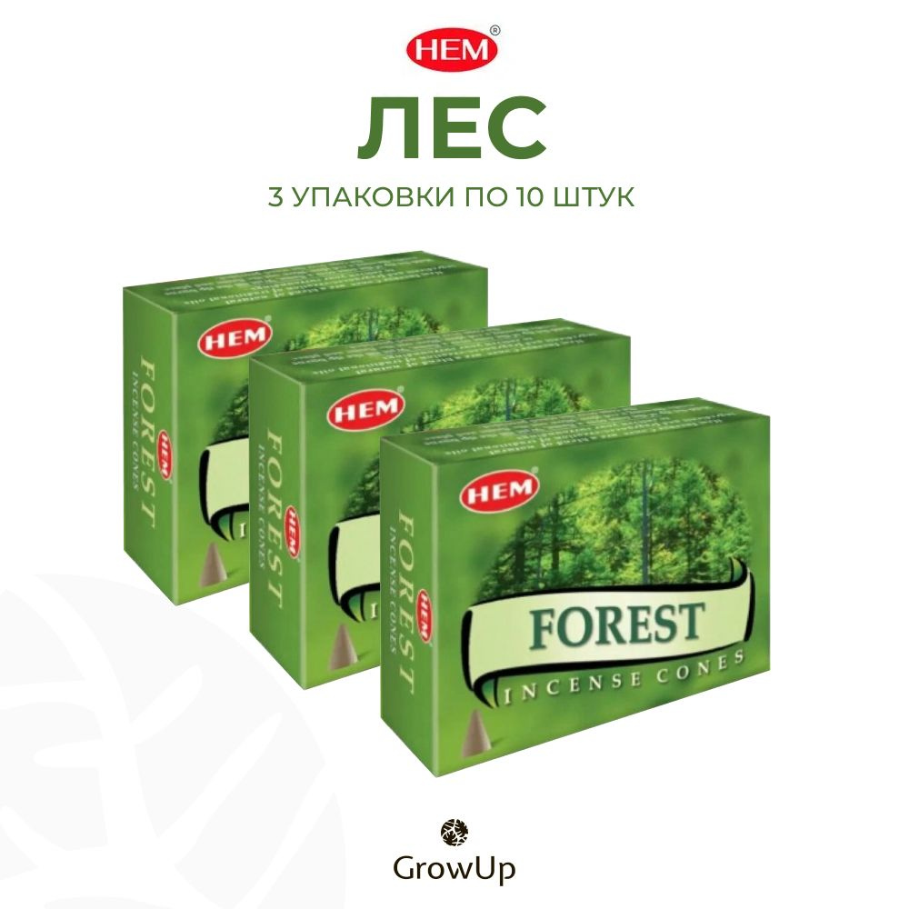 HEM Лес - 3 упаковки по 10 шт - ароматические благовония, конусовидные, конусы с подставкой, Forest - #1