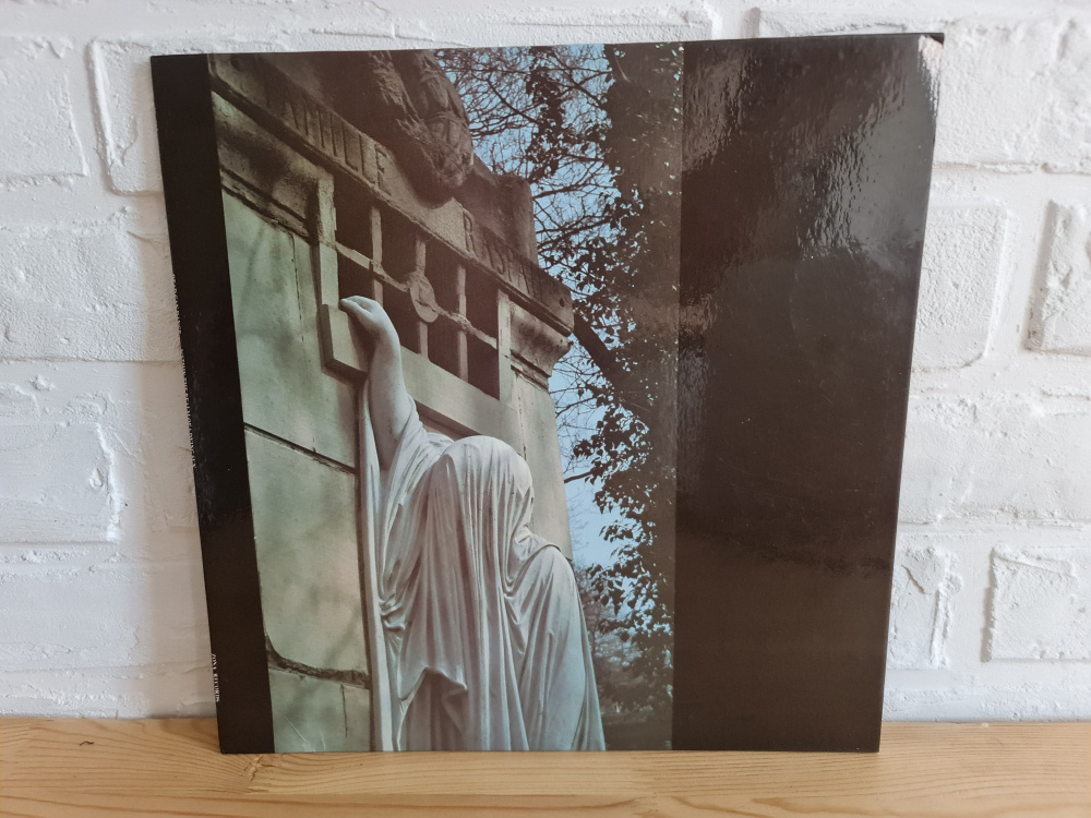 Винтажная виниловая Пластинка LP Dead Can Dance "Within the Realm of a Dying sun"  #1