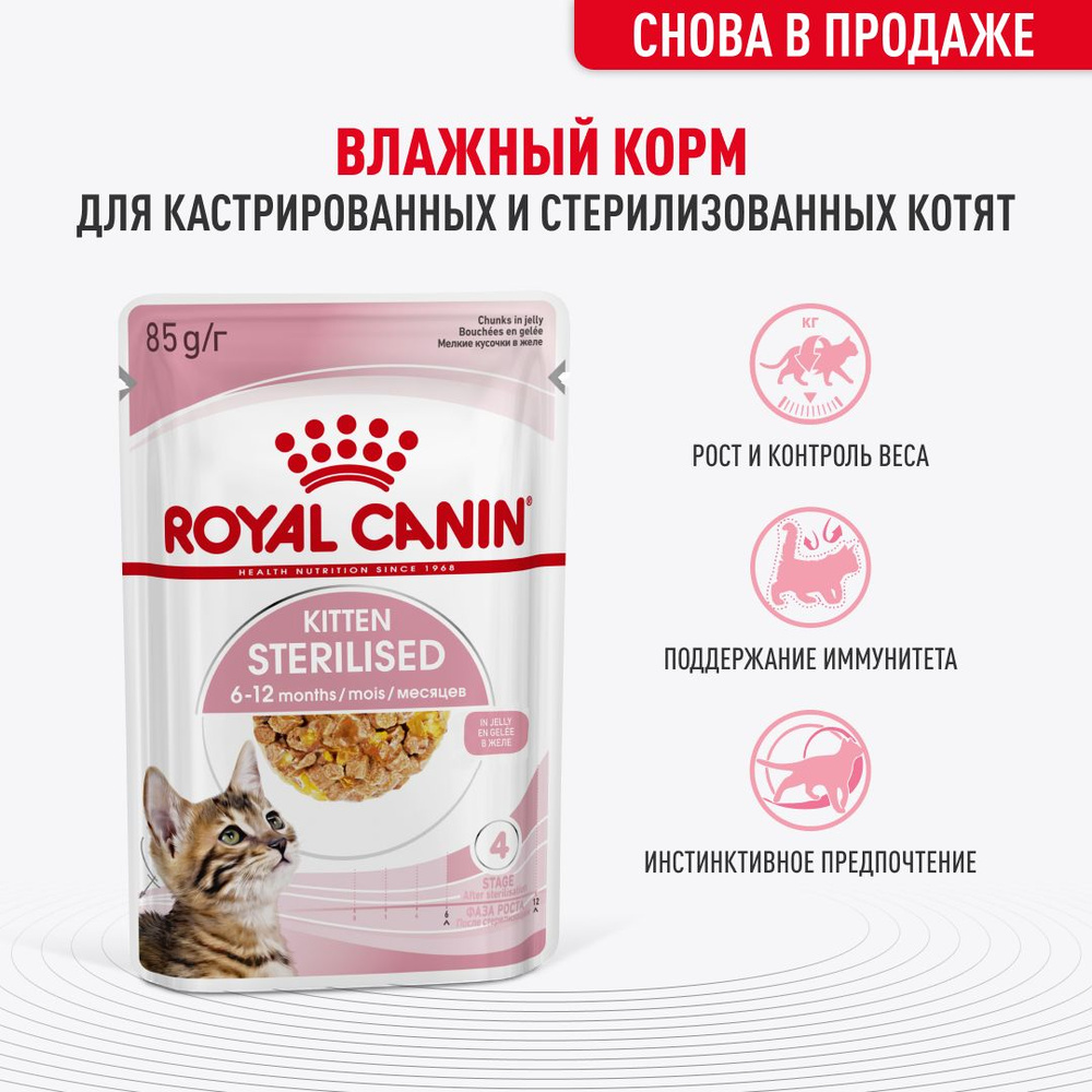 Royal Canin KITTEN STERILISED Корм влажный для стерилизованных котят, кусочки в желе, паучи 85 г х 28 #1