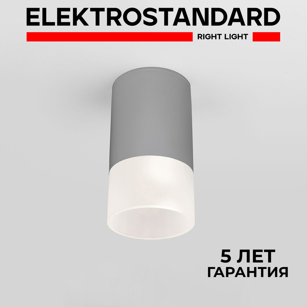 Уличный потолочный светильник Elektrostandard Light LED 2106 IP54 35139/H серый  #1