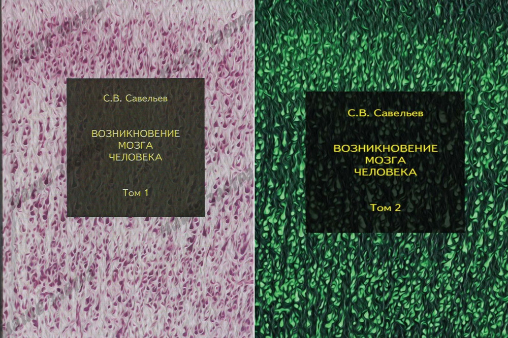 Возникновение мозга человека: Тома 1 и 2 | Савельев С. В. #1