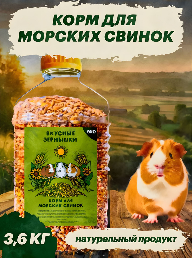 Корм для морских свинок #1