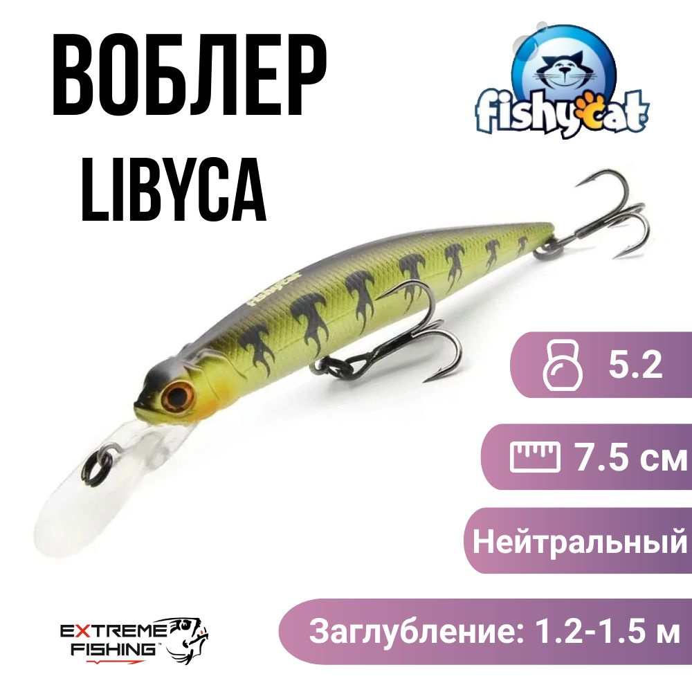 Воблер Fishycat Libyca 75DSP, X04 #1