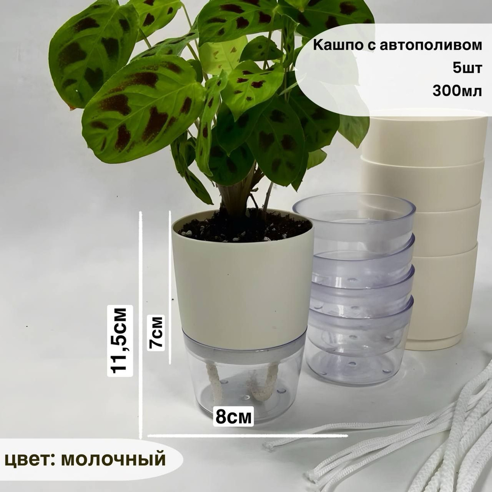 Горшок для цветов, молочный, 11 см х 8 см х 8 см, 0.3 л, 5 шт #1