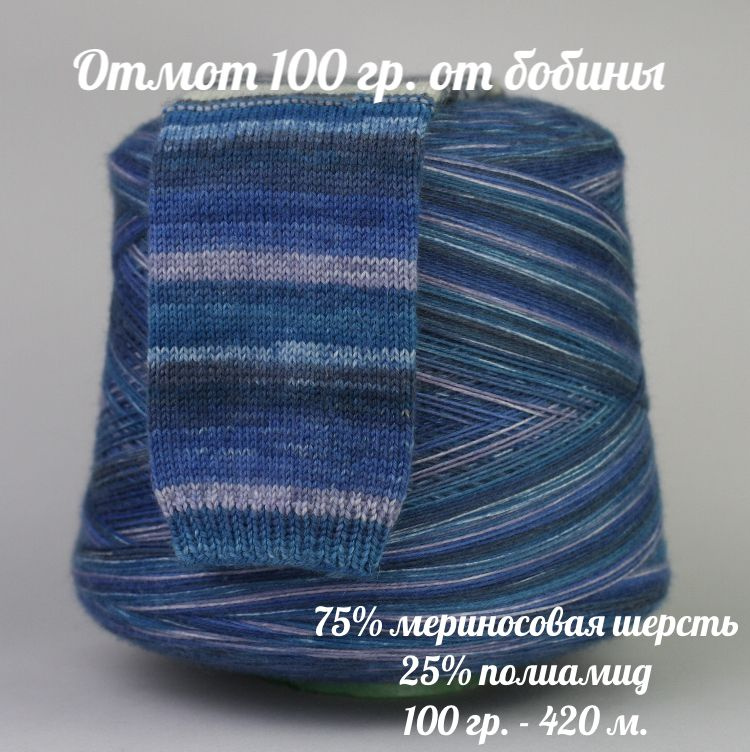 Бобинная носочная пряжа Calzetteria Merino Style, отмот 100г (+-5г), цвет 411  #1