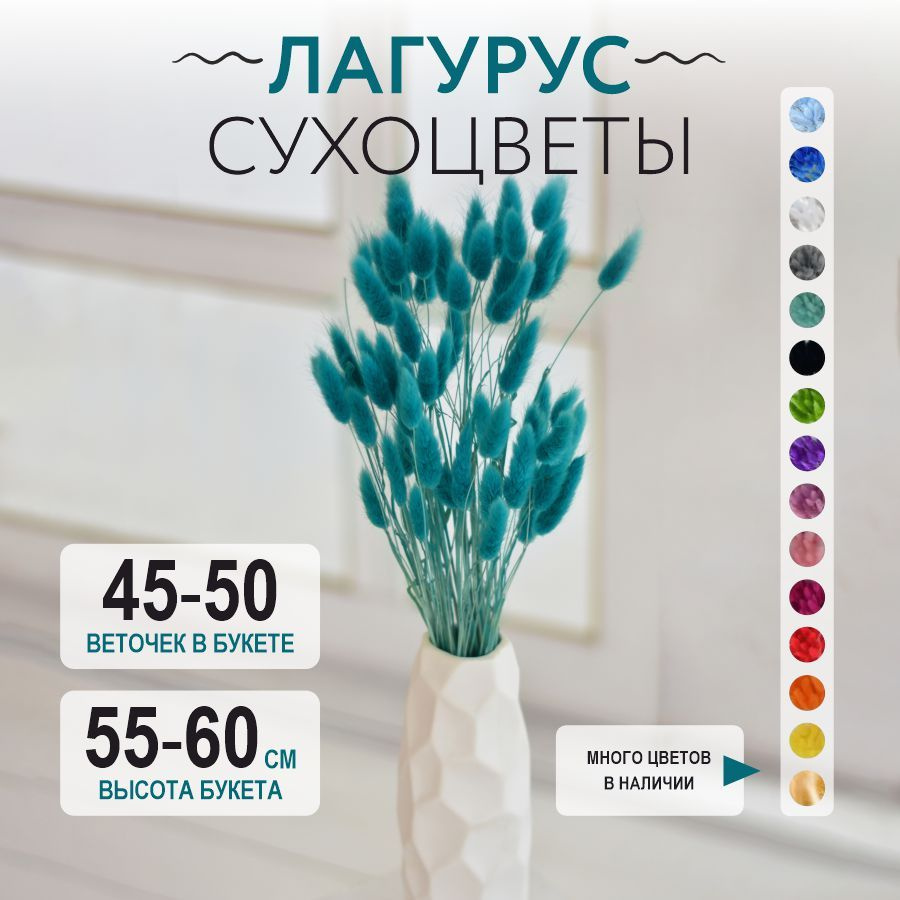 Сухоцвет Лагурус для декора Trava Decor букет цветов для вазы, зеленая  #1