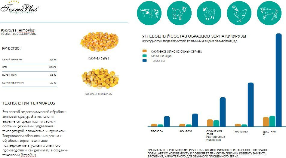 Кукуруза ТермоПлюс производство Атлант Агро #1
