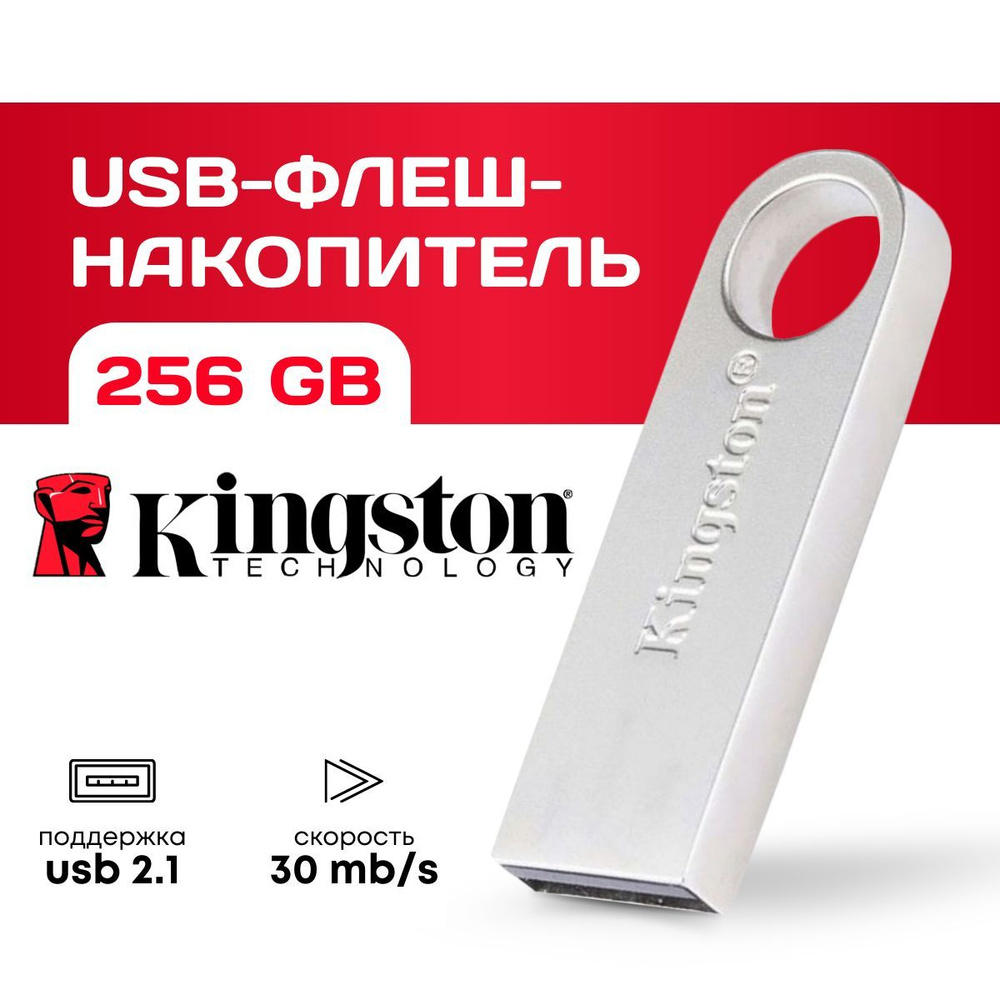 USB-флеш-накопитель UsB flashka накопитель 256 ГБ, серебристый #1