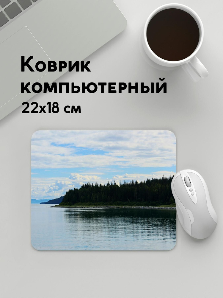 PANiN Коврик для мыши MousePad22x18WC_WC187939, светло-серый, серебристый  #1