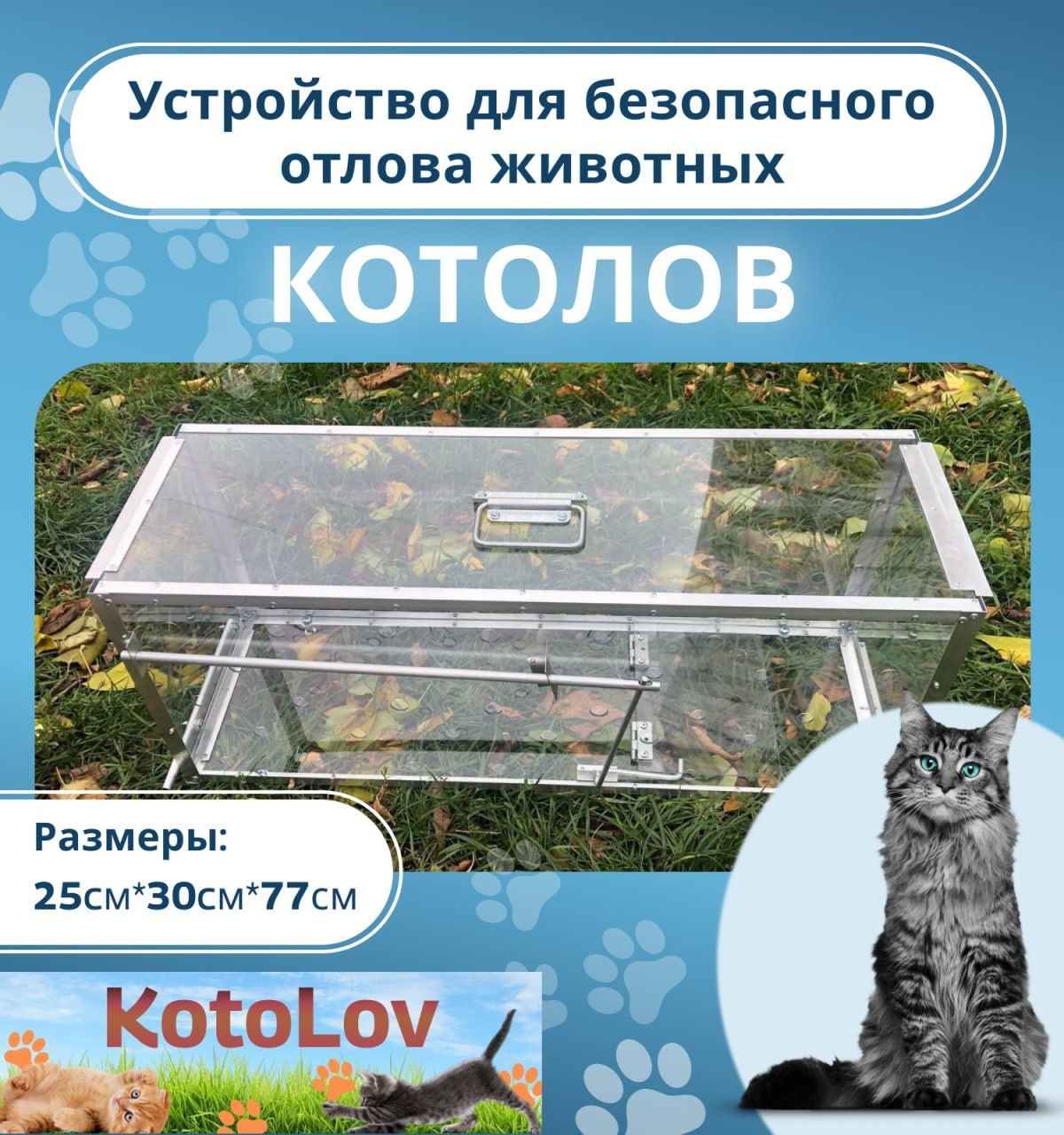 Котоловка