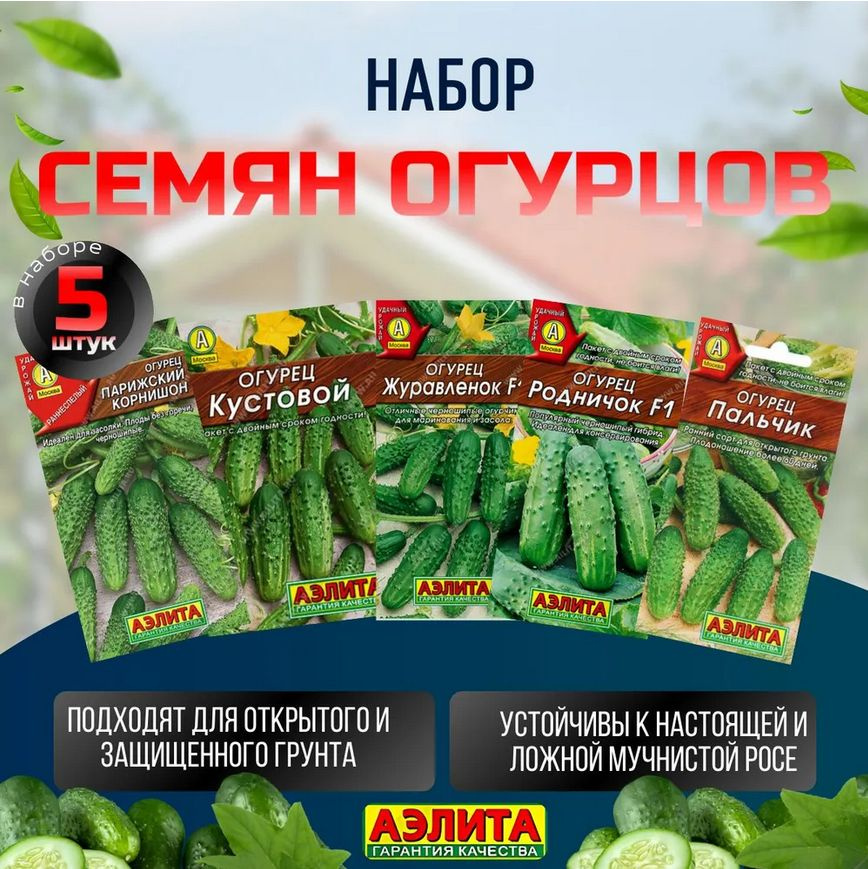 Семена огурцов