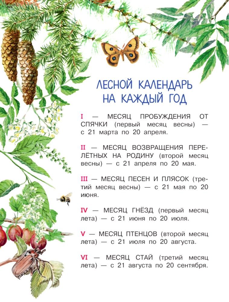 Лесная газета | Forest Newspaper - Ozon image 7
