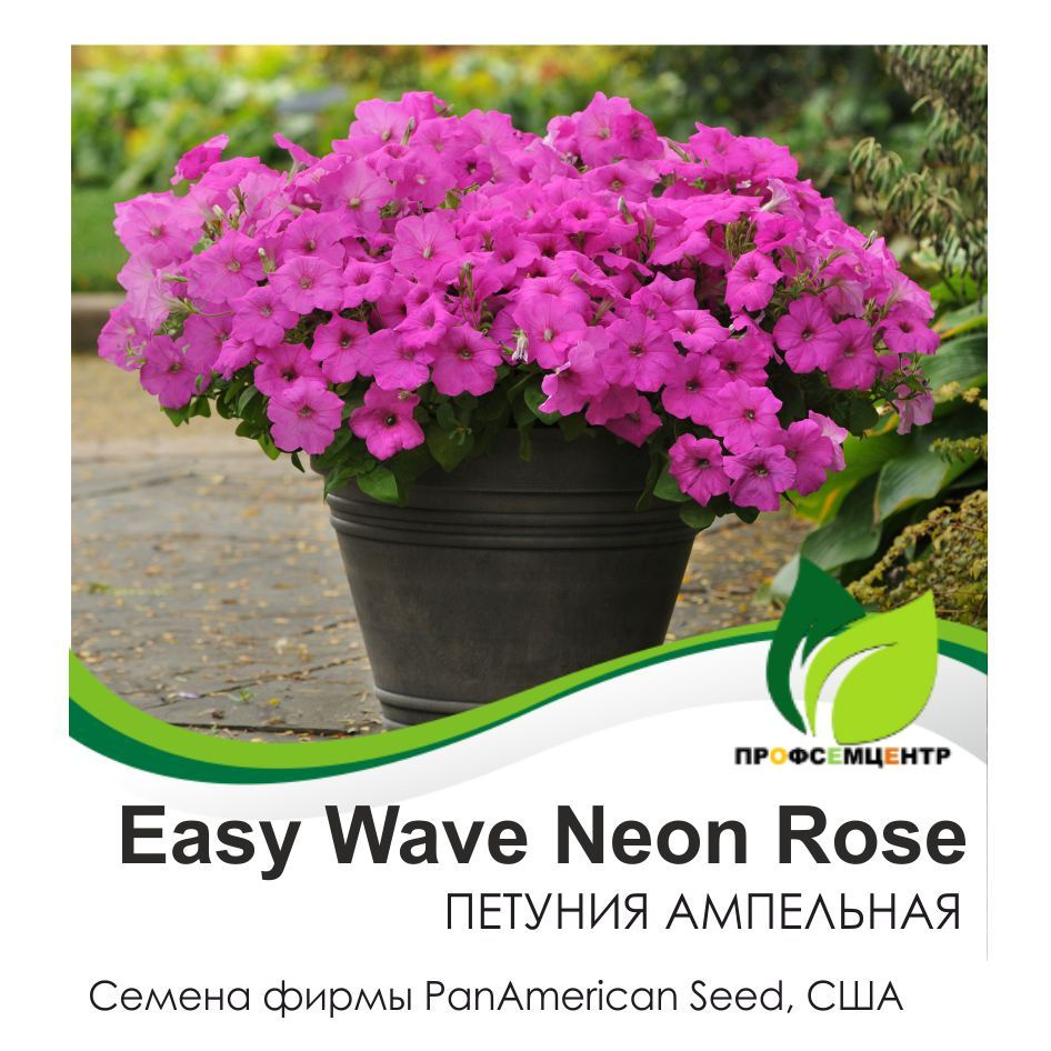 Петуния Easy Wave Neon Rose (Изи Вэйв Неон Роуз), семена, 5 шт. (фасовка), ампельная  #1