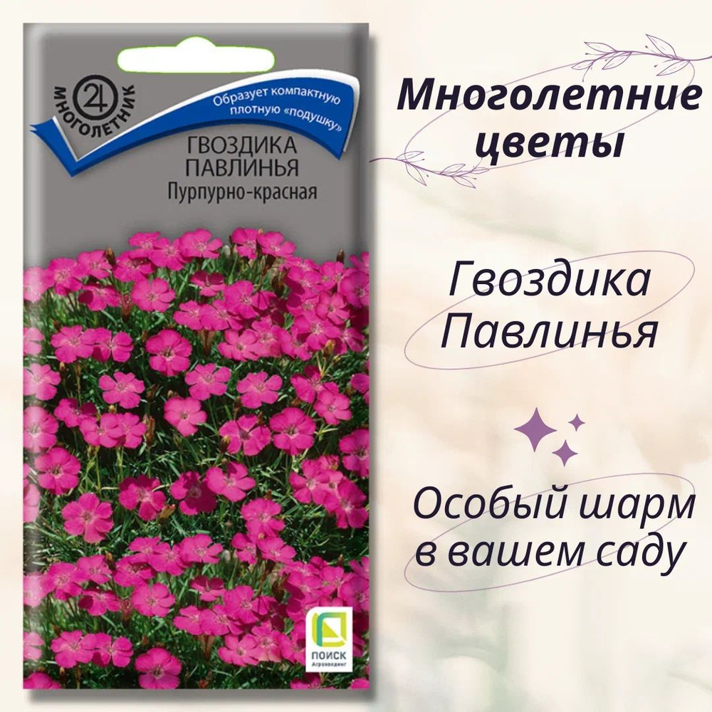 Гвоздика павлинья "Пурпурно-красная" семена многолетних цветов для посадки  #1