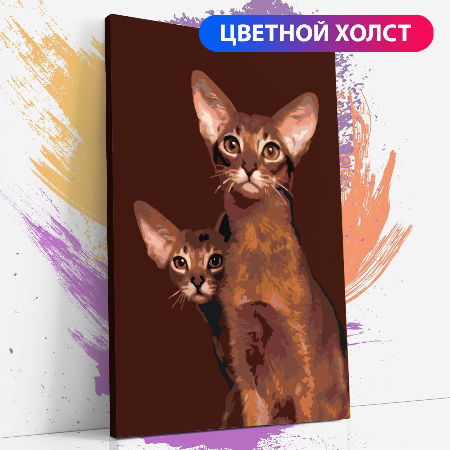Картина по номерам на холсте с подрамником "Абиссинская кошка. Кот. Рыжик кот" 40х60 см  #1