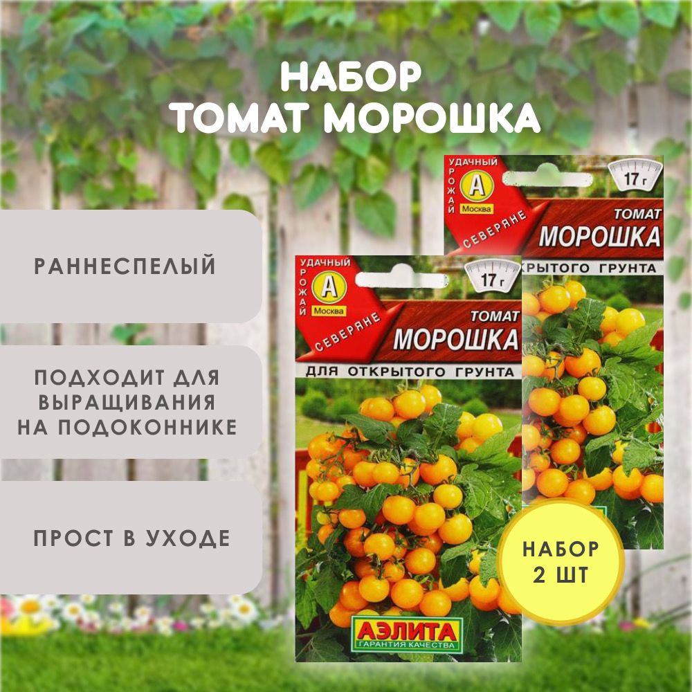 Семена балконных томатов Морошка ,Черри. Семена помидор для подоконника, низкорослые, раннеспелые, комнатные, #1