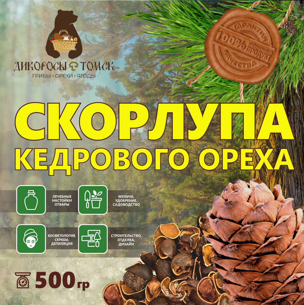 Для настоек и самогона скорлупа кедрового ореха 500гр. - купить с доставкой  по выгодным ценам в интернет-магазине OZON (1363442265)