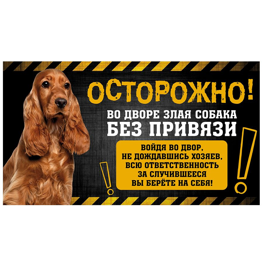 Табличка, с юмором, DANGER DOG, Осторожно! Во дворе собака без привязи, Спаниель, 25x14 см  #1